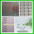 100% virgin HDPE cheap anti bird net for sale